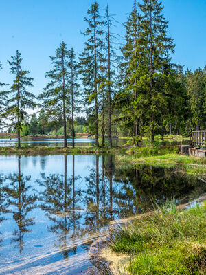 Familienhotel Mein Krug im Fichtelgebirge: Blick über den Fichtelsee im Sommer